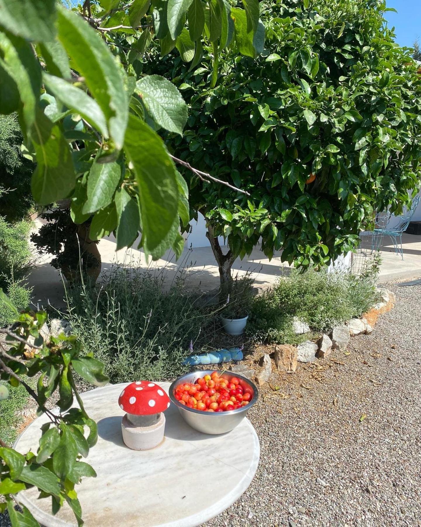 Lavender Farm House Nafpaktos Dış mekan fotoğraf